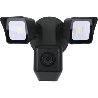 Камера відеоспостереження Greenvision GV-121-IP-GM-DOG20-12-SD