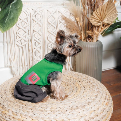 Костюм для тварин Pet Fashion Aleks S (4823082430550)
