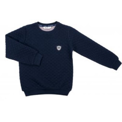Кофта дитяча Breeze з емблемою (9946-140B-blue)