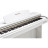 Цифрове піаніно Kurzweil M90 White (285608)