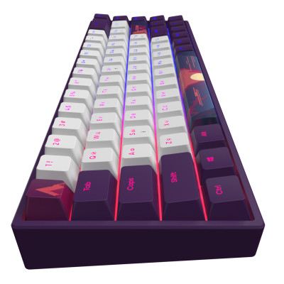 Клавіатура Dark Project Sunrise PBT RGB Mech G3MS Sapphire USB Violet/White (DPP68_GSH_SUNR_ANSI_UA)