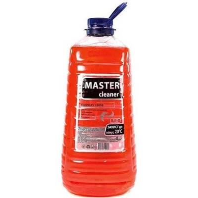 Омивач автомобільний ЗАБХ Мaster cleaner Лісова ягода -20 4 л (ЗАБХ_54480)