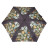 Парасоля Fulton National Gallery Tiny-2 L794 National Gallery Tiny-2 Bosschaert (L794-085297)