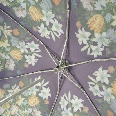 Парасоля Fulton National Gallery Tiny-2 L794 National Gallery Tiny-2 Bosschaert (L794-085297)