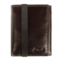 Гаманець Ashwood 1265 VT Brn