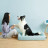 Лежак для тварин Petkit FOUR SEASON PET BED size S (NEW) (P7110)