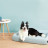 Лежак для тварин Petkit FOUR SEASON PET BED size S (NEW) (P7110)