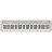 Синтезатор Casio CT-S1-76WEC7 (363319)