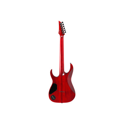 Електрогітара Ibanez RGT1221PB SWL (234938)