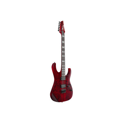 Електрогітара Ibanez RGT1221PB SWL (234938)