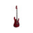 Електрогітара Ibanez RGT1221PB SWL (234938)