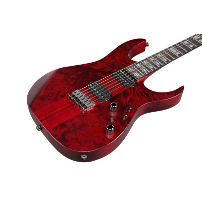 Електрогітара Ibanez RGT1221PB SWL (234938)