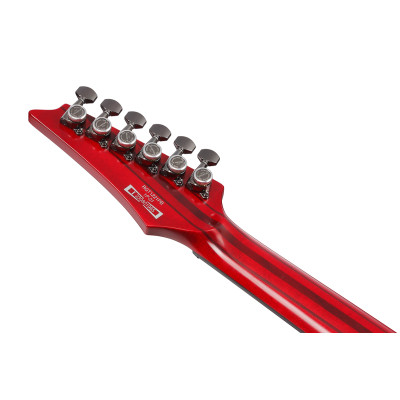 Електрогітара Ibanez RGT1221PB SWL (234938)