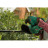 Кущоріз Bosch акумуляторний EasyHedgeCut 18V-52-13 18V, лезо 52см, крок різу 15мм, 3.28кг (без АКБ та ЗП) (0.600.849.M00)
