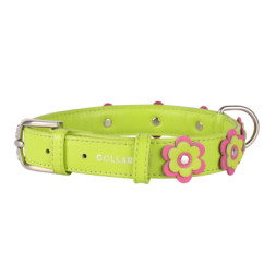 Нашийник для тварин Collar GLAMOUR з оздобленням &quot;Аплікація&quot; Ш 25 мм Д 38-49 см салатовий (35035)