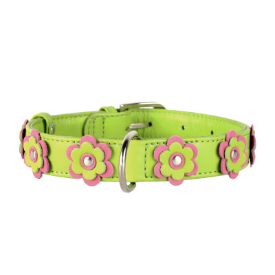 Нашийник для тварин Collar GLAMOUR з оздобленням &quot;Аплікація&quot; Ш 25 мм Д 38-49 см салатовий (35035)