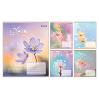 Зошит 1 вересня Tender Flowers А5 24 аркушів лінія (768077)