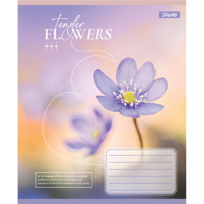 Зошит 1 вересня Tender Flowers А5 24 аркушів лінія (768077)