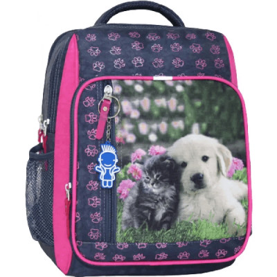 Рюкзак шкільний Bagland Школяр 8 л. 321 сірий 138 д (0012870) (5886640)