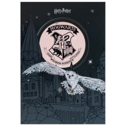 Блокнот Kite Harry Potter A5, 50 аркушів, клітинка (HP25-194-1)