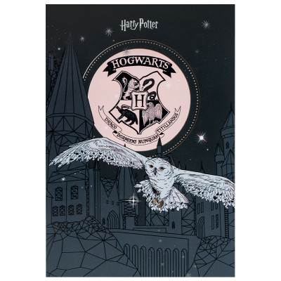Блокнот Kite Harry Potter A5, 50 аркушів, клітинка (HP25-194-1)
