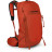 Рюкзак туристичний Osprey Talon Pro 20 mars orange O/S (009.3535)