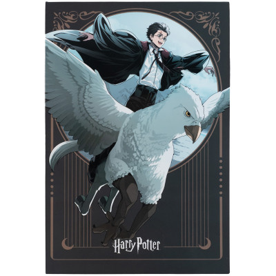 Блокнот Kite Harry Potter A5, 50 аркушів, клітинка (HP25-194-2)