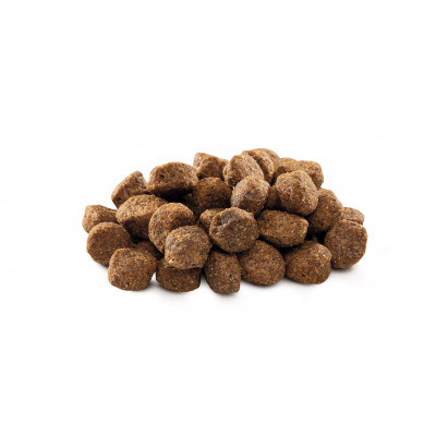 Сухий корм для собак Brit Premium Dog Senior S+M 3 кг (8595602526390)