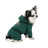 Костюм для тварин Pet Fashion Berry XS (4823082437580)