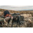 Оптичний приціл Vortex Venom 5-25x56 FFP EBR-7C MRAD (VEN-52502) (930826)
