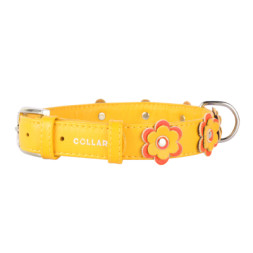 Нашийник для тварин Collar GLAMOUR з оздобленням &quot;Аплікація&quot; Ш 35 мм Д 46-60 см жовтий (35048)