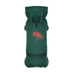 Костюм для тварин Pet Fashion Berry XS2 (4823082437597)