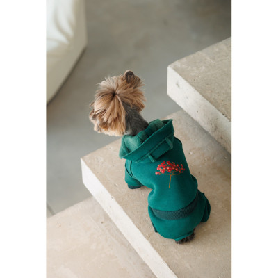 Костюм для тварин Pet Fashion Berry XS2 (4823082437597)