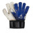 Воротарські рукавиці Select Goalkeeper Gloves 03 601072-373 Youth синій, білий Діт 4 (5703543316342)