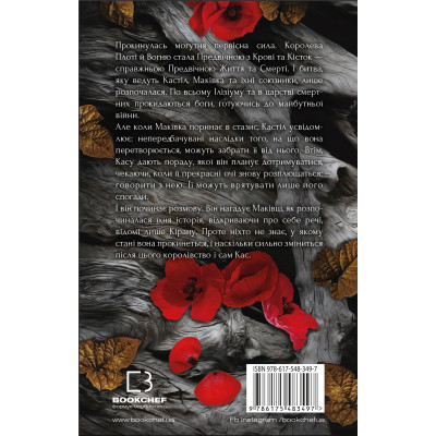 Книга Кров і попіл: Душа з попелу та крові - Дженніфер Л. Арментраут BookChef (9786175483497)