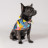 Бандана для тварин Pet Fashion &quot;WEEKEND&quot; M-XL принт (4823082421091)