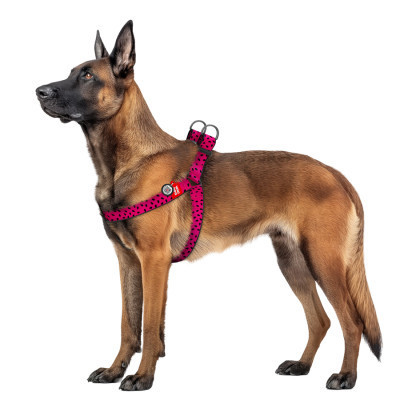 Шлея для собак WAUDOG Nylon з QR паспортом &quot;Кавун&quot; пластиковий фастекс XL (324-0049)