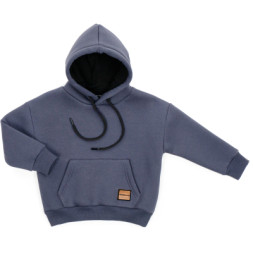 Кофта дитяча Cloise худи флісова (CL0115008-128-gray)