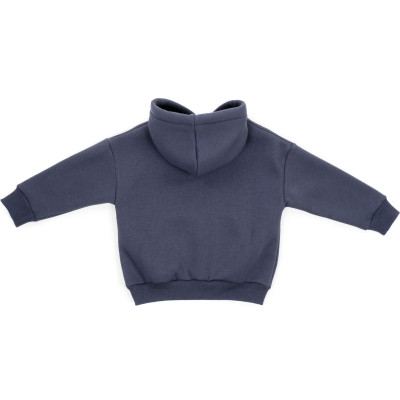 Кофта дитяча Cloise худи флісова (CL0115008-128-gray)