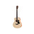 Гітара акустична Taylor Guitars GS Mini Sapele (235427)