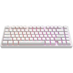 Клавіатура Dark Project ALU81 Terra Nostra PBT RGB Mech G3MS Moonstone White (DPKB_NOSTRA_81_ANSI_WHITE_UA)