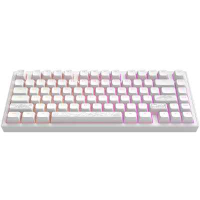 Клавіатура Dark Project ALU81 Terra Nostra PBT RGB Mech G3MS Moonstone White (DPKB_NOSTRA_81_ANSI_WHITE_UA)