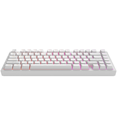 Клавіатура Dark Project ALU81 Terra Nostra PBT RGB Mech G3MS Moonstone White (DPKB_NOSTRA_81_ANSI_WHITE_UA)