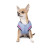 Бомбер для тварин Pet Fashion Spike XL (4823082430185)