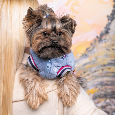 Бомбер для тварин Pet Fashion Spike XL (4823082430185)