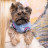 Бомбер для тварин Pet Fashion Spike XL (4823082430185)