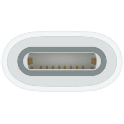 Адаптер Apple USB-C to Apple Pencil Adapter, Model A2869 (MQLU3ZM/A)