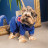 Дощовик для тварин Pet Fashion Silver L (4823082429950)