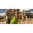 Рюкзак туристичний Osprey Ultralight Stuff Pack limon O/S (009.3251)
