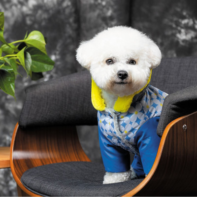 Костюм для тварин Pet Fashion Leaf S зелений (4823082431465)